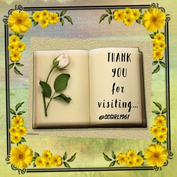 NEW TAG TEAM MEMBERS - Picture 7 of 7